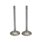 Supapa SET (Em+Eg): RUGGERINI / RD 220 / RD 240 / RD 270 / Nr. referinta: 960,57+960,57