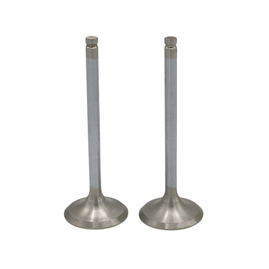 Supapa SET (Em+Eg): RUGGERINI / RD 220 / RD 240 / RD 270 / Nr. referinta: 960,57+960,57