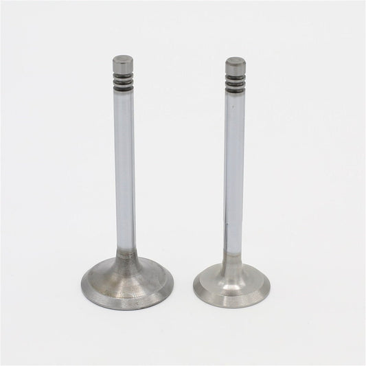 Supapa SET (Em+Eg): RUGGERINI / RD 290