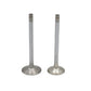 Supapa SET (Em+Eg): SAME / LAMBORGHINI / 1000.3 A / 1000.3 A5 / 1000.4 A / 1000.4 A1 / 1000.4 A4 / 1000.6 A / 1000.6 A1 / 100.30 / 100.4 W 1000.6 W / Nr. referinta: 0.010.6016.0 + 0.066.1421.0