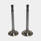 SET MOTOR Supapa (IN+EX): STEYR / WD 113 / WD 213 / WD 313 / WD 413 / Nr. referinta : 21300540 + 21300539