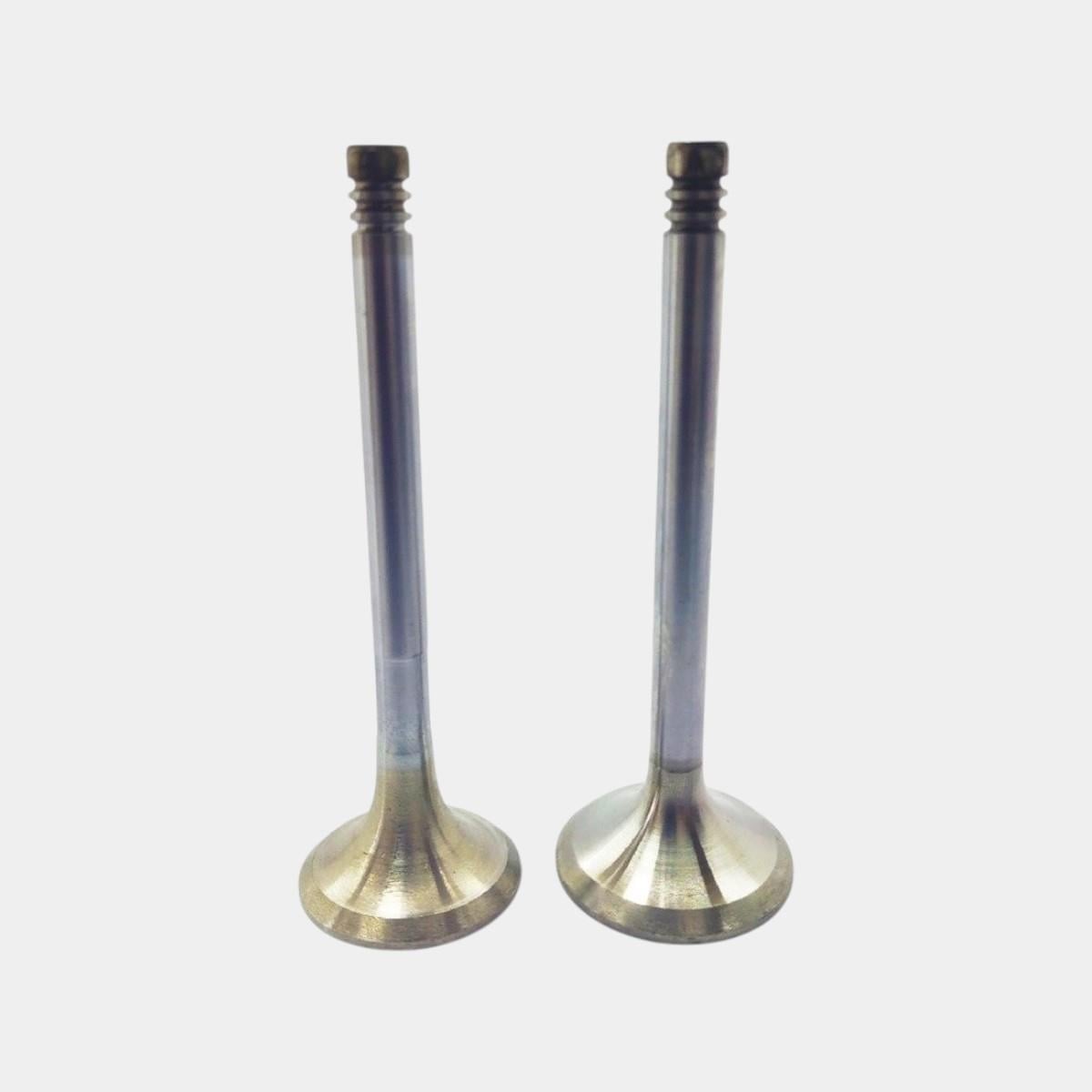 Supapa SETİ (EM+EG): STEYR / WD 301 / WD 401 / WD 601 / Nr. referinta: 622604607014 + 622604607034