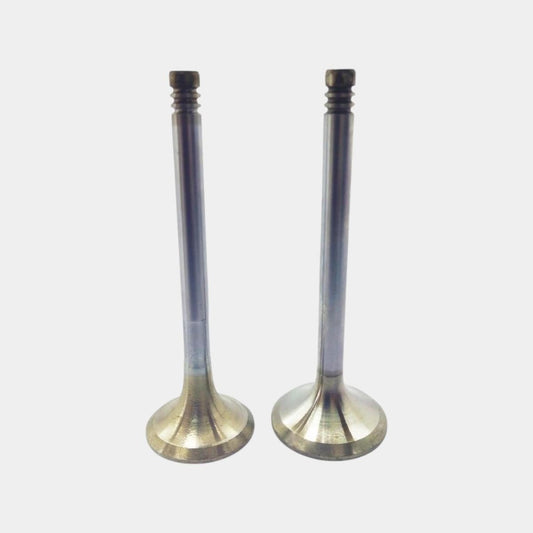 Supapa SETİ (EM+EG): STEYR / WD 301 / WD 401 / WD 601 / Nr. referinta: 622604607014 + 622604607034
