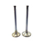Supapa SETİ (EM+EG): STEYR / WD 301 / WD 401 / WD 601 / Nr. referinta: 622604607014 + 622604607034