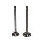 Supapa SET (EM+EG): STEYR / WD 306/WD 307/WD 308/ WD 406/WD 407/WD 408/ Nr. referinta: 4070501 + 4070502