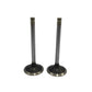 Supapa SET (Em+Eg): VM / 1051 SU / 1052 SU / 1053 SU / 1054 SU / 1056 SU / 101 SU / 102 SU / 103 SU / 104 SU / 106 SU / 195 SU / 295 SU / 295 SU / 198 SU / 9 SV/398SV/Nr. referinta: 20360015A + 20370012A