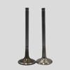 Supapa SET (Em+Eg): VM / D 703 / D 704 / D 706 / D 754 / D 756 / Nr. referinta: 20362010 + 20372010