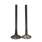 Supapa SET (Em+Eg): VM / D 703 / D 704 / D 706 / D 754 / D 756 / Nr. referinta: 20362010 + 20372010