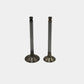 Supapa SET (Em+Eg): YANMAR / 1GM10 / 2GM20 / 3GM30 / Nr. referinta: 105225-11100 + 105225-11110