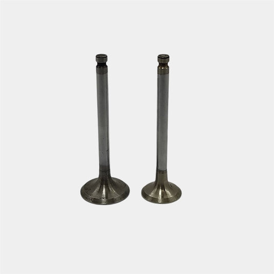 Supapa SET (Em+Eg): YANMAR / 1GM10 / 2GM20 / 3GM30 / Nr. referinta: 105225-11100 + 105225-11110