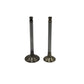 Supapa SET (Em+Eg): YANMAR / 1GM10 / 2GM20 / 3GM30 / Nr. referinta: 105225-11100 + 105225-11110