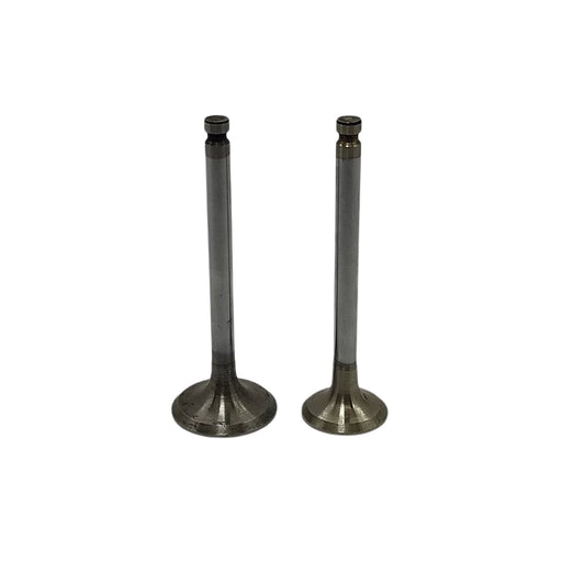 Supapa SET (Em+Eg): YANMAR / 1GM10 / 2GM20 / 3GM30 / Nr. referinta: 105225-11100 + 105225-11110