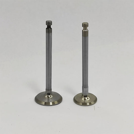 Supapa SET (Em+Eg): YANMAR / 2TNE68 / 3TNE68 / Nr. referinta: 119260-11100 + 119260-11110