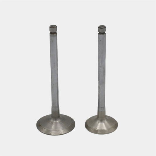 Supapa SET? (Em+Eg): YANMAR / 3TNV76 / 3YM30 / Nr. referinta: 119717-11101 + 119717-11100