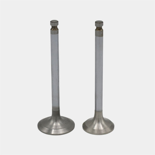 Supapa SET (Em+Eg): YANMAR / 3TNV82 / Nr. referinta: 119802-11100 + 119802-11110