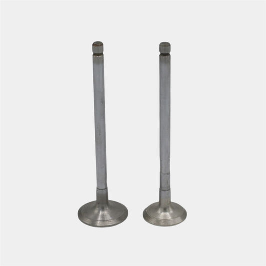 Supapa SET (Em+Eg): YANMAR / 3TNV84 / 4TNV84 / Nr. referinta: 129508-11100 + 129508-11110