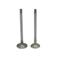 Supapa SET (Em+Eg): YANMAR / 3TNV84 / 4TNV84 / Nr. referinta: 129508-11100 + 129508-11110