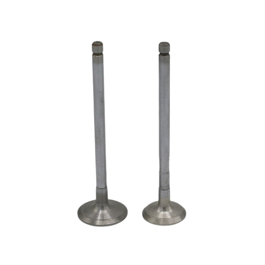 Supapa SET (Em+Eg): YANMAR / 3TNV84 / 4TNV84 / Nr. referinta: 129508-11100 + 129508-11110