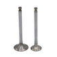 SET MOTOR Supapa (IN+EX): YANMAR / 4JH110 / 4JH80 / 4JH45 / 4JH57 / 4JH4E / 4JH4AE / 4JH5E