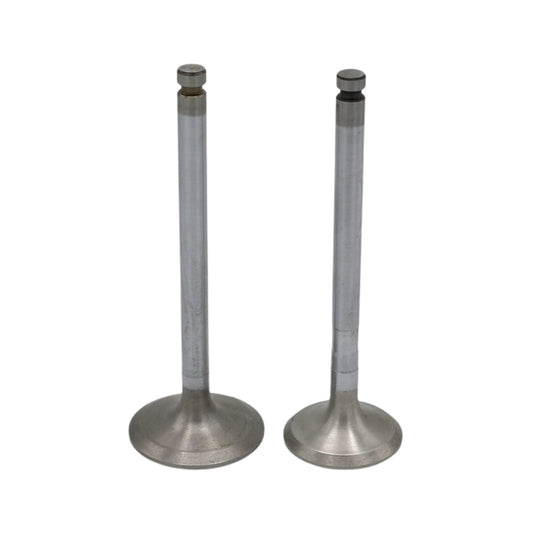 Supapa SET (Em+Eg): YANMAR / 4TNE106 / Nr. referinta: 123900-11100 + 123900-11110