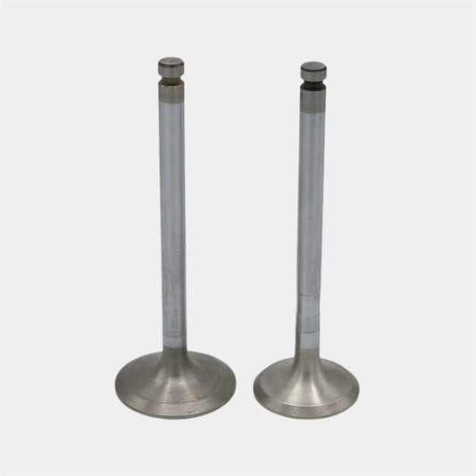Supapa SET (Em+Eg): YANMAR / 4TNE106 / Nr. referinta: 123900-11100 + 123900-11110