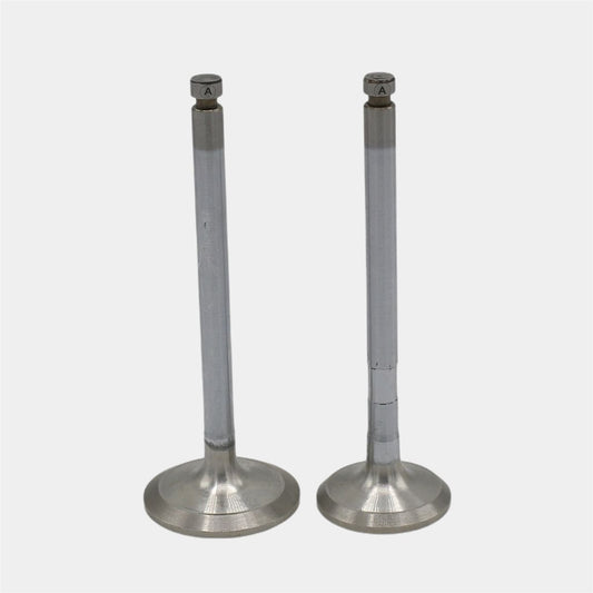 Supapa SET (Em+Eg): YANMAR / 4TNE92 / 4TNE94 / 4TNE98 / Nr. referinta: 129900-11100 + 129900-11110