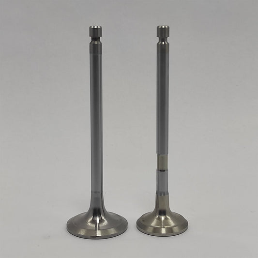 Supapa SET (Em+Eg): YANMAR / 4TNV106 / Nr. referinta: 123907-11100 + 123907-11110