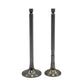 Supapa SET (Em+Eg): YANMAR / 4TNV106 / Nr. referinta: 123907-11100 + 123907-11110