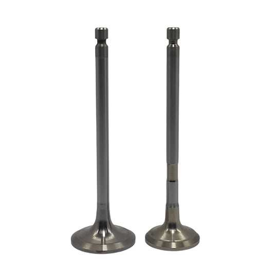 Supapa SET (Em+Eg): YANMAR / 4TNV106 / Nr. referinta: 123907-11100 + 123907-11110