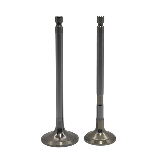 Supapa SET (Em+Eg): YANMAR / 4TNV106 / Nr. referinta: 123907-11100 + 123907-11110