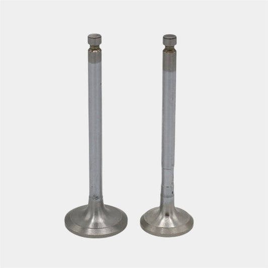 Supapa SET (Em+Eg): YANMAR / 4TNV94 / 4TNV98 / Nr. referinta: 129907-11100 + 129907-11110