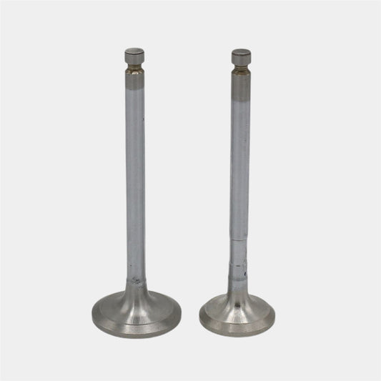 Supapa SET (Em+Eg): YANMAR / 4TNV94 / 4TNV98 / Nr. referinta: 129907-11100 + 129907-11110