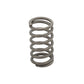 Arc supapa: LOMBARDINI / 3LD 510 / LDA 450 / LDA 80 / Nr. referinta: 5755 005
