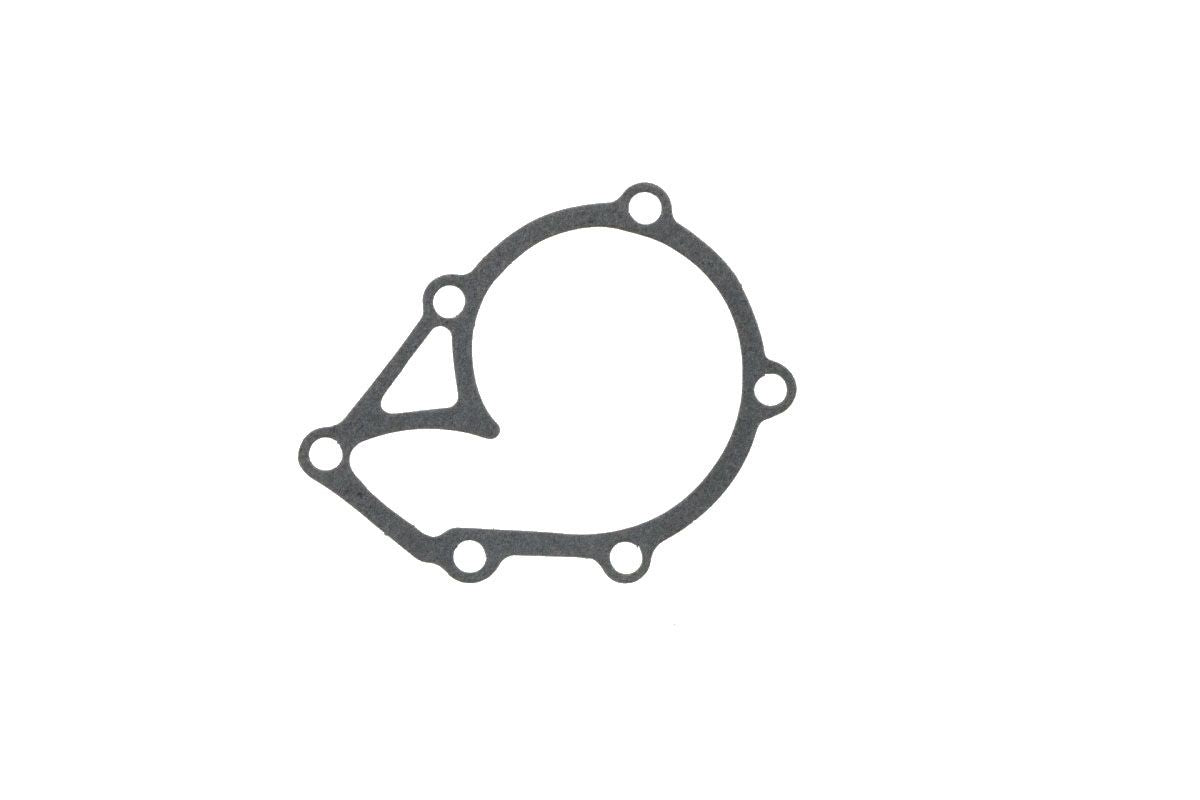 Gasket water pump Iseki