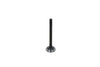 Exhaust Valve Kubota D600, D640, D662, D722, D782, WG750, Z400, ZB400, Z402, Z430, Z482,