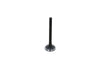 Exhaust Valve Kubota D902, Z602