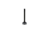 Kubota Exhaust Valve D782