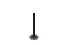 Intake Valve Kubota D850, D950, V1100, V1200, Z600, ZB600,