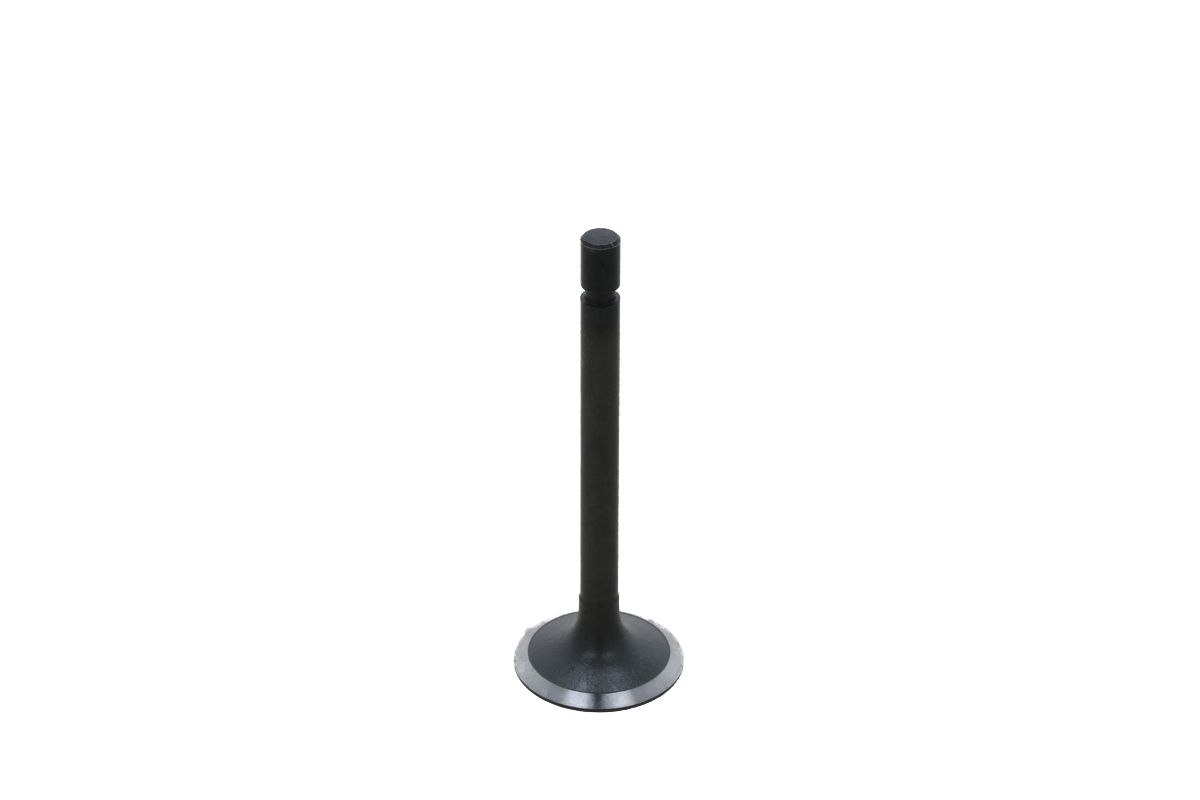 Intake Valve Kubota D850, D950, V1100, V1200, Z600, ZB600,