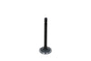 Intake Valve Kubota D905, D1005, D1105, D1305, V1205, V1305, V1505,