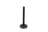 Intake Valve Kubota D1503-DI, D1703-DI, D1803-CR, F2803DI, V2003-M-DI, V2203-M-DI, V2403-CR-E4B, V2403-M-DI,