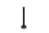 Kubota Exhaust Valve V2203M, V2003, D1703M, V2403