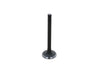 Kubota Intake Valve ZL600