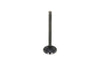 Intake Valve Iseki TS