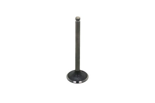 Intake Valve Iseki TS