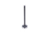Exhaust Valve Mitsubishi MVS3L, MVS3L2, S3L, S3L2, S4L, S4L2, Captain, Startrac, Etc.,