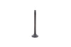 Exhaust Valve Mitsubishi L2A, L2C, L2E, L3A, L3C, L3E, MVL3E, Captain, Startrac, Etc